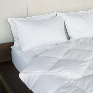 Duck Down Feather Quilt by Alliance